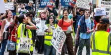 Woke o non woke, siamo il pianeta delle scimmie