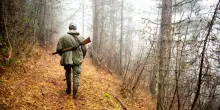 Caccia, parte la stagione e torna puntuale la guerra dei ricorsi