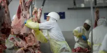 Stop alla carne dal Brasile: Mercosur da buttare