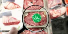 Bologna caccia il presepe ma s&rsquo;inchina all&rsquo;islam: carne &laquo;alla musulmana&raquo; in classe