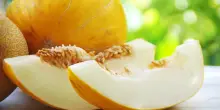 Frutto &laquo;invernale&raquo; dalle origini persiane. Il melone bianco &egrave; un orgoglio nazionale