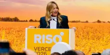 La Meloni si toglie il chicco dalla scarpa: &laquo;L&rsquo;Ue tuteli il riso prodotto in Italia&raquo;