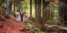 L&rsquo;autunno colora i parchi del Trentino per vivere la montagna a passo lento