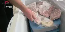 Caivano, vermi negli alimenti di una comunit&agrave; per minori