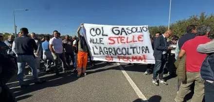 Caro diesel, la protesta in Calabria &egrave; guidata da un condannato