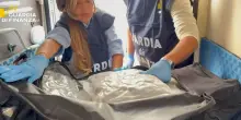 L&rsquo;ultima deriva: cocaina alla frutta