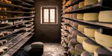 Veneto, formaggi e tartufi in trincea sul Monte Grappa