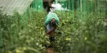 Sicilia, appalti affidati ad aziende amiche con i fondi europei per i migranti