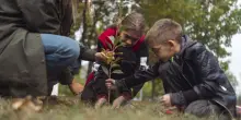 Nelle scuole si educa anche piantando alberi