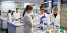 I giovani talenti rientrano in Italia: in 5 anni rimpatri cresciuti del 33%