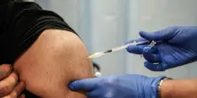 Vaccino, nascosto lo studio sugli effetti avversi