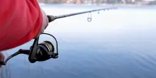 Multa per chi pesca senza permesso, come ottenere la licenza per non correre rischi