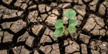 Cambiamento climatico, tutte le conseguenze per il mondo del lavoro