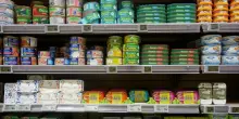 La classifica del miglior tonno in scatola da comprare al supermercato (e quanto costa)