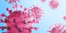 Cos'&egrave; il norovirus? Sintomi, contagio e cure del virus che colpisce l'apparato digerente