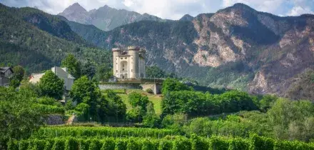 Contributo agricoltura 400 euro per ettaro, come fare domanda