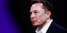 Elon Musk assume in Italia, 260 euro al giorno per testare l'AI