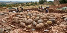 Scoperto un tesoro in Francia. 100 uova di dinosauro che valgono oltre &euro;2.000.000