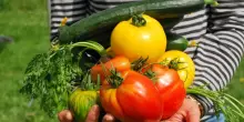 Bonus agricoltura 2026, arriva la proroga. Ecco a chi spetta e come presentare la domanda