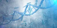 Questa biotech italiana macina utili. &Egrave; il titolo pi&ugrave; interessante della Borsa italiana?