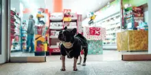 Addio al re dei 7-eleven giapponesi. Ha trasformato i &ldquo;konbini&rdquo; in un simbolo del Paese