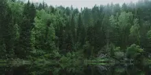 Cervi e cascate da sogno. Puoi ammirarli in questo parco naturale a 3 ore da Roma