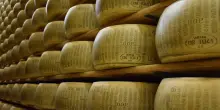Il Parmigiano Reggiano vale cos&igrave; tanto che Credem lo accetta come garanzia per i prestiti