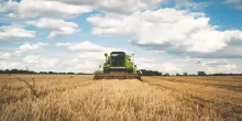 Bonus agricoltura 2026, come ottenere fino a 300.000 euro per i lavori in azienda