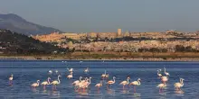 Top 10 aziende di Cagliari per fatturato, un'economia fortemente orientata ai servizi
