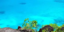 Lavoro dei sogni alle Seychelles con alloggio gratuito. Cercano guide per un'isola privata
