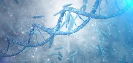 Morgan Stanley punta su Argenx, una biotech tra le pi&ugrave; preziose in Europa che pu&ograve; superare i 130 miliardi