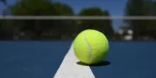 Montepremi ATP e WTA Canada, il prize money dell'edizione 2026