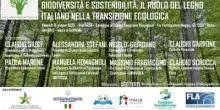 Il ruolo legno italiano in transizione ecologica, tavola rotonda con Afi e Assolegno