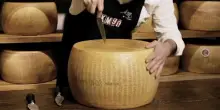 Parmigiano di montagna: quando il formaggio salva l’Appennino