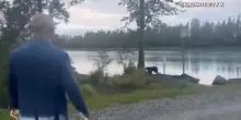 Vertice in Alaska, membro della delegazione russa incontra un orso