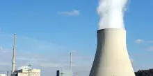 Centrale nucleare in tilt a causa di un’invasione di meduse: il caso in Francia