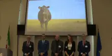 Alla Camera presentato il docufilm “World Without Cows”