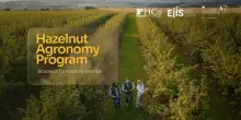 Sostenibilità, al via l’Hazelnut Agronomy Program: scuola tecnica dedicata al nocciolo