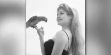 Brigitte Bardot, 91 anni, torna a casa dopo breve ricovero