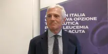 Lma, ematologo Venditti: "Quizartinib colma gap che avevamo in fase mantenimento"