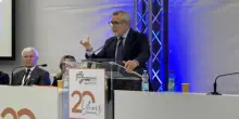Zaffini: "In riforma i 3 profili di specializzazione infermieristica"
