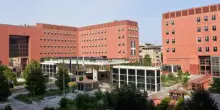 Università, Milano-Bicocca assume: 15 posti aperti tra risorse umane, ricerca e infrastrutture