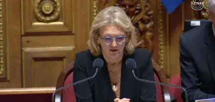 Il Senato francese approva il piano di entrate del bilancio statale