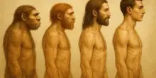 Ricerca, così sono scomparsi i Neanderthal: lo svela uno studio a guida italiana