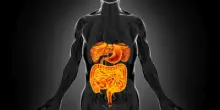 Intestino sempre giovane, è possibile: come fermare invecchiamento e prevenire tumori