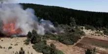 Sensori e dati, spegnere gli incendi con l’intelligenza artificiale