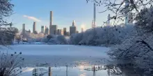 Il sole fa scintillare la neve, la magia di Central Park a New York
