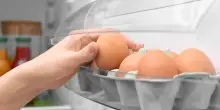 Uova ritirate dal supermercato per rischio Salmonella: marchio e lotti interessati