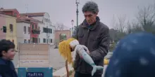 &ldquo;La vita segreta dei giocattoli&rdquo;, un documentario su Roberto Papetti
