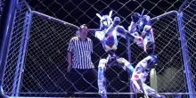 A Tokyo robot umanoidi si sfidano nell&rsquo;arena a calci e pugni
